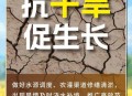 洪涝毁400亩农作物,洪涝毁400亩农作物怎么处理