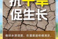 洪涝毁400亩农作物,洪涝毁400亩农作物怎么处理