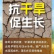 洪涝毁400亩农作物,洪涝毁400亩农作物怎么处理