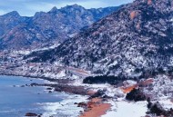 青岛下雪,青岛今天下雪了吗？