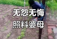 因怨偷婆婆43万花光,因怨偷婆婆43万花光了多少钱