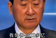 王健林被限制高消费,王思聪为什么会被限制高消费，被调查名下财产？难道没钱了吗？王健林为什么不出手相助？
