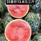 约400公斤西瓜摔坏,约400公斤西瓜摔坏多少钱