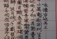 记者夫妇家中遭枪击,杜甫的咏怀古迹（5首 ）分别写了谁？