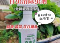 员工给蔬菜喷杀虫剂,家里用的杀虫剂可以喷蔬菜不？