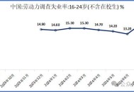 16-24岁失业率14.5%,16至24岁调查失业率20.4%，背后是什么原因造成的呢？
