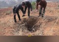 去世8年坟墓现盗洞,我家墓地里狐狸，獾子的盗洞，请问是吉还是凶？