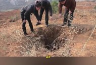 去世8年坟墓现盗洞,我家墓地里狐狸，獾子的盗洞，请问是吉还是凶？
