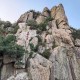请24位陪爬登顶泰山 ,香山和泰山哪个好爬？