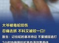踩中在缠斗的蛇被咬,踩中在缠斗的蛇被咬了