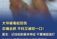 踩中在缠斗的蛇被咬,踩中在缠斗的蛇被咬了