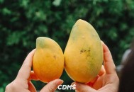 顶流水果狂降百元,谁才是夏天的顶流水果？