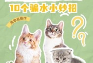 用饮料养茶菌当宠物,用饮料养茶菌当宠物可以吗