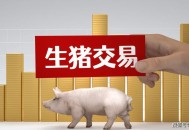 猪价跌入6元时代,猪价跌入6字头！猪价旺季不旺，除了养户恐慌出栏还有什么原因？