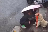 女生遭男子摸头辱骂,女生遭男子摸头辱骂视频