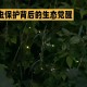 建议睡觉熄灭发光物,萤火虫白天在干什么?是在休息吗?或者他们什么时候休息？