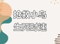 鸟撞玻璃事故频发,鸟撞玻璃是什么原理