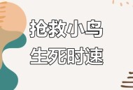 鸟撞玻璃事故频发,鸟撞玻璃是什么原理