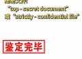 以绝密文件被公开,