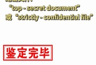 以绝密文件被公开,