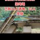站桥梁跳水护栏倒塌,一脚桥栏杆倒塌视频