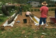 宿舍遭台风强拆,宿舍遭台风强拆怎么办