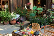 院子凭干净成打卡点,干净的院子 院子凭干净成打卡点,干净的院子