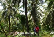 下车方便躲灭门车祸,讲一条虫子和大树的故事它们之间会发生怎样的故事？