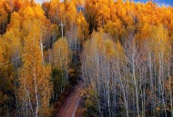 北方秋天为何这么短,北方秋天短还是春天短 北方秋天为何这么短,北方秋天短还是春天短