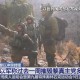 已有8国遭以袭击,已有8国遭以袭击的国家