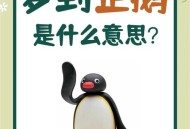 台送上海1对黑脚企鹅,企鹅的英文单词？