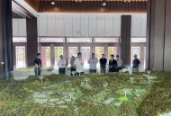 江苏拟增国字号大学,江苏媒体对国字号球队过度使用黄紫昌表示不满，不受伤已是万幸，你怎么看？