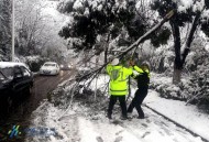 武汉街头出现大飞机,武汉暴雪影响飞机起飞吗？