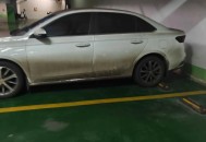 洗车未晒干全车发霉,回南天洗车会不会发霉？