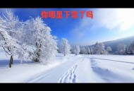 北京的雪下大了,北京的雪下大了是什么歌