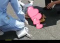 青岛小车撞人1死3伤,青岛这个物价，退休金3千有点紧巴了，是这样吗？