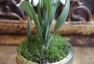 新房墙体被填饮料瓶,墙上撒了饮料怎么去除