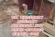 点拼好饭被骂狗饭,