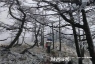 西安17岁少年失联4天,西安十七中是重点中学吗？