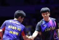 樊振东VS林诗栋,林诗栋赢樊振东后说的什么？