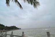 珠海全市范围五停,自驾游珠海情侣路车停哪里好？