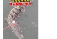 有人疑江边放生大米,自热米饭里可以放生鸡蛋吗？