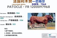 俄培育2头克隆牛,现在的基因技术已经先进到什么程度了？