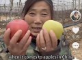 大姨飙英语卖苹果,大姨英语卖苹果走红