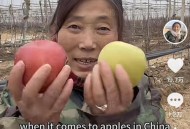 大姨飙英语卖苹果,大姨英语卖苹果走红