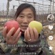 大姨飙英语卖苹果,大姨英语卖苹果走红