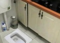 千万建10个厕所被查,蹲厕上厕所可以中途冲水吗？
