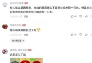 康熙是洪承畴儿子?,康熙评价洪承畴