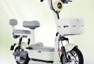 河北5人骑1辆电动车,河北电动车可以在北京开吗？