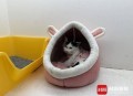 医生持弓箭射流浪猫,我捡到一只流浪猫，我昨天带它去看医生了，治好要5000多，可是我没这么多钱，该怎么办？